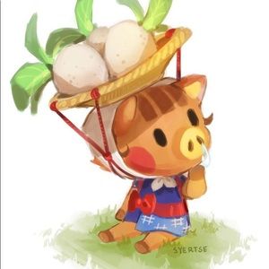 Meet your Posher, Jo ann